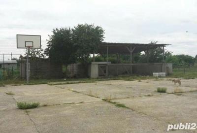 Spațiu comercial, de 1,200 mp, în Potlogi - 8