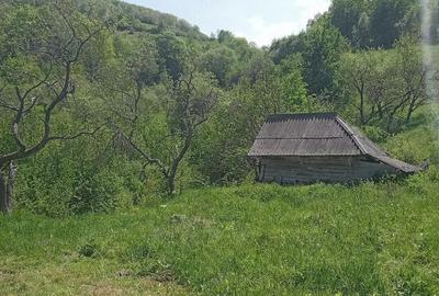Casă cu 2 camere cu Teren 500 Mp în Tranișu - 1