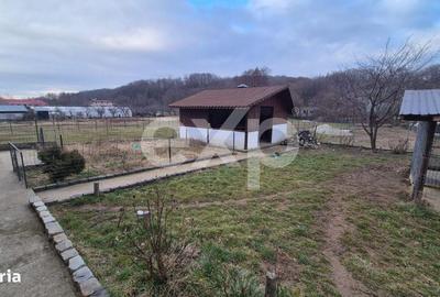 Casă cu 4 camere în Moșoaia - 3