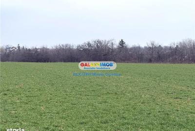 Teren de 9503 mp, în Central - 1