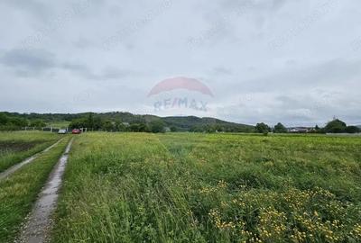 Teren de 1495 mp, în Dobreni - 5