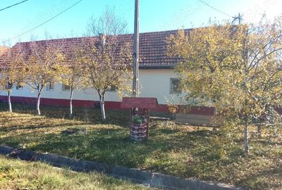 Casa de vanzare la 50km de Timisoara - 8