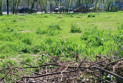 Teren Construcții intravilan de 1155 mp, în Herăstrău - 2