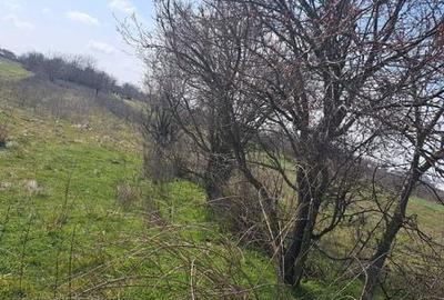 Teren de 720 mp, în Central - 2