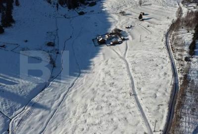 Teren de 36000 mp, în Bosanci - 8