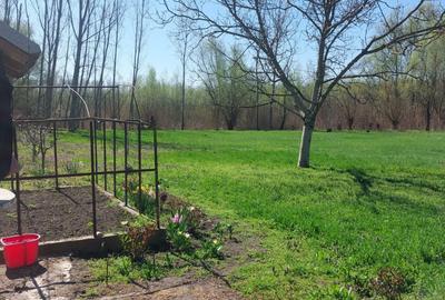 Teren Construcții intravilan de 3200 mp, în Măstăcani - 4