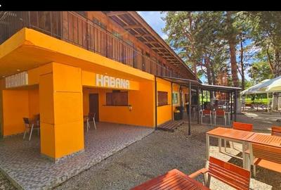 Spațiu comercial, de 237 mp, în Central - 5