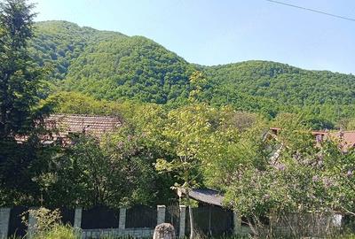 Teren de 1600 mp, în Central - 7