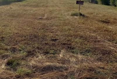 Teren în Săcălășeni - 1
