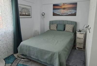 Apartament cu 2 camere decomandat în Beba Veche - 4