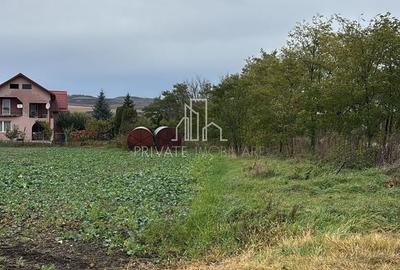 Teren 10 000 Mp Deschidere E60, Zona Aeroport/Autostrada, Ungheni - 6