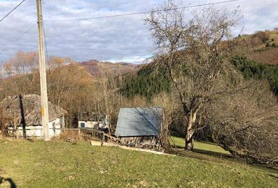 Casă cu 2 camere în Mătișești (Ciuruleasa) - 10