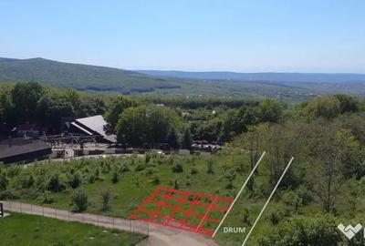 Teren de 850 mp, în Pietrărie - 8
