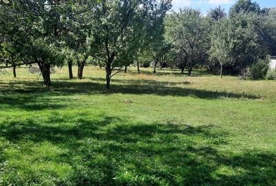 Teren de 8540 mp, în Breaza - 4