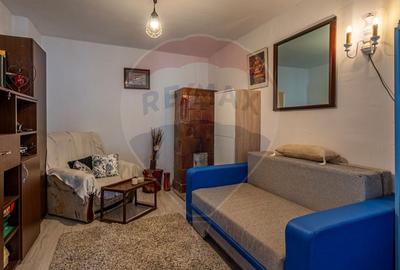 Casa de vanzare Sinca Noua/ Priveliste de vis/ De vanzare! - 7
