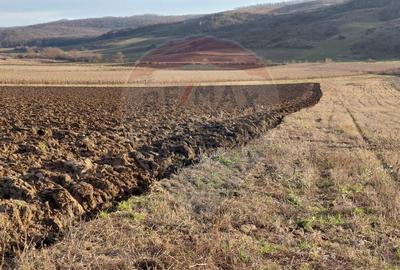 Teren agricol intravilan de 7200 mp, în Secuieni - 2