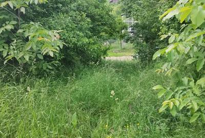 Teren de 900 mp, în Cojocna - 2