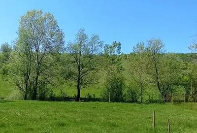Teren în Gușoeni - 5