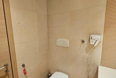 Apartament cu 2 camere decomandat, mobilat în Vitan-Bârzești - 17