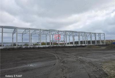 Vanzare depozit hala spatiu industrial Mogosoaia - Buftea - 6