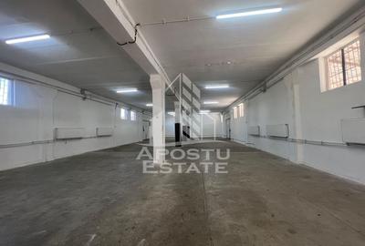 Spațiu industrial, de 580 mp, în Șagului - 2