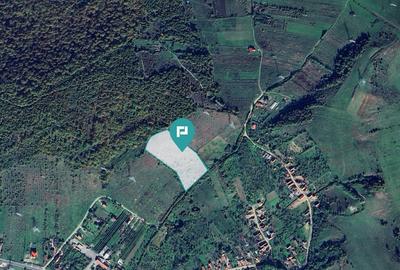 Teren fâneață lângă pădure - Hunedoara - 1