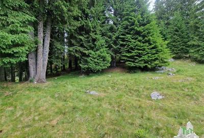 Teren intravilan de vanzare Padina/ Muntii Bucegi - 6