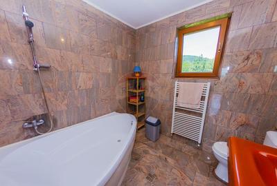 Vila de vanzare cu priveli?te superba Cicarlau - 8