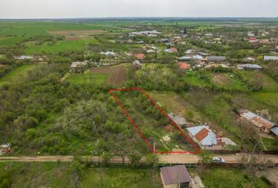 LETCA NOUA, TEREN CONSTRUCTII 1184 MP, FRONT 21 M ! - 2