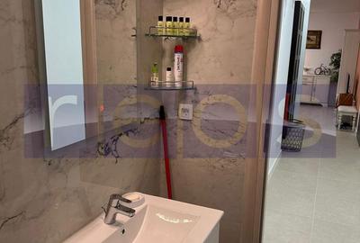 Apartament cu 3 camere decomandat, mobilat în Vitan - 10