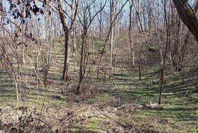 Casă cu 2 camere cu Teren 1439 Mp în Brădișoru de Jos - 8