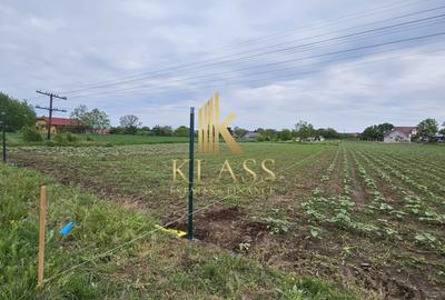 TEREN INTRAVILAN - MOARA VLASIEI - 4