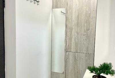 Garsonieră decomandată în Ipotești - 10