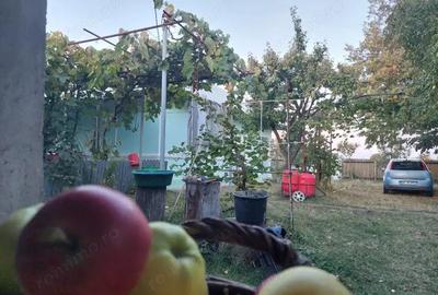 Casa batraneasca bine intretinuta in Bahna - 15