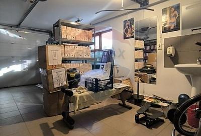 Vila de vanzare Buna ziua Vila de vanzare Buna ziua - 48