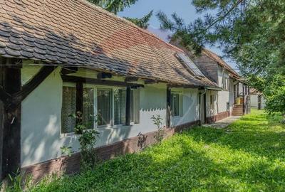 Casa saseasca cu Poveste in inima Transilvaniei/5500 mp teren/Bunesti - 6