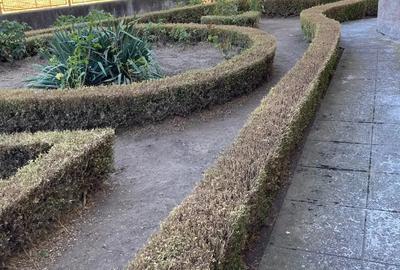 Casa din caramida - 8