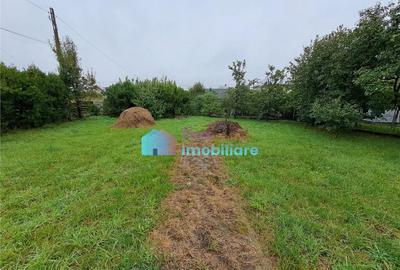 Vila spatioasa Itcani - 9