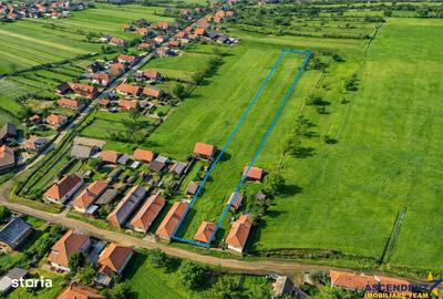 Spațiu comercial, în Mereni - 3