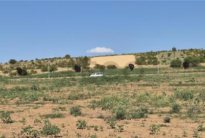 Reco Teren Extravilan Episcopia aproape de Remarkt - 8