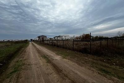 Teren intravilan 750 mp Tunari Stejarului - 10