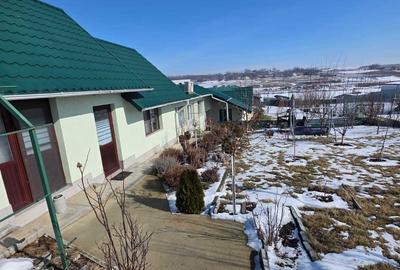 Teren de 6700 mp, în Broscăuți - 1