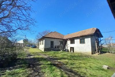 Casă cu 3 camere cu Teren 6500 Mp în Lucăcești - 5