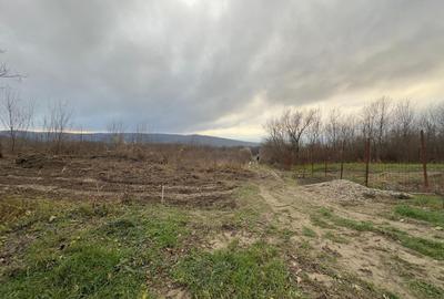 Teren Construcții intravilan de 748 mp, în Bârnova - 13