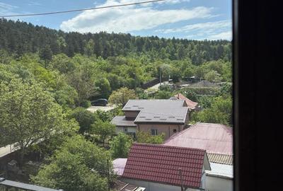 Apartament cu 2 camere decomandat în Frumoasa - 12