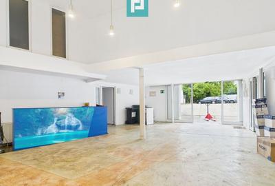 Spațiu comercial / producție cu potențial multiplu - 1