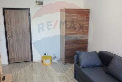 Apartament cu 1 camere de inchiriat in zona Vasile Alecsandri - 6