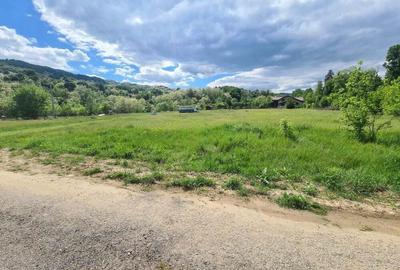 Teren intravilan Vladesti - 5