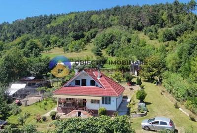 Casa + teren de vanzare - Garcina