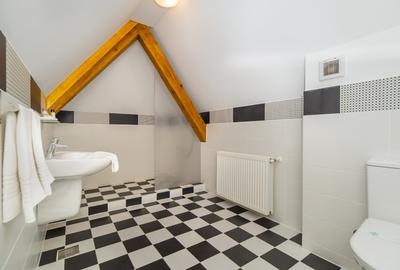 Apartament cu 3 camere decomandat, mobilat în Drumul Poienii - 3